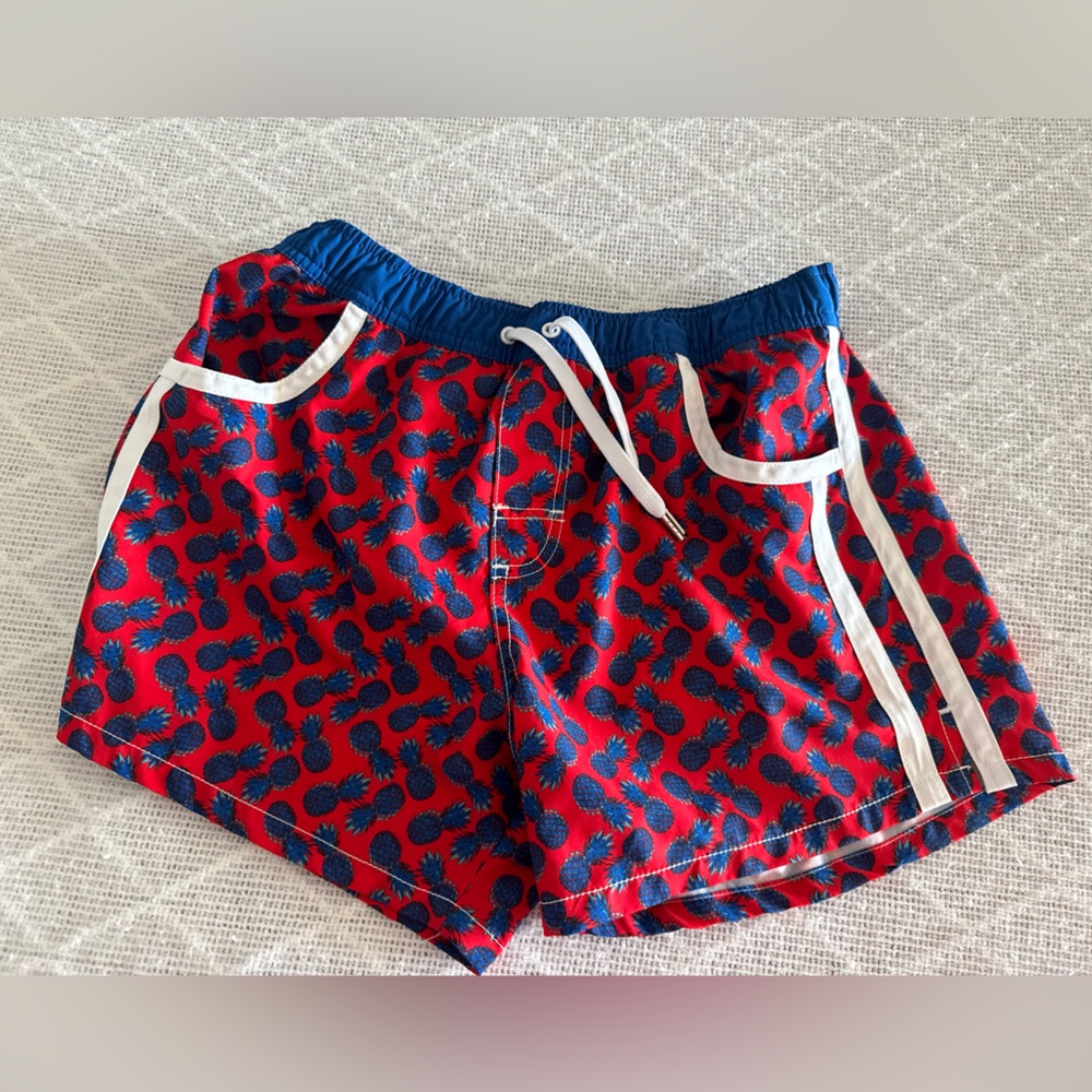 Andrew Christian Blue and Red Pineapple Swim Shorts Size Large